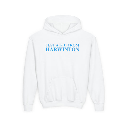 Just a kid from Harwinton Youth Heavy Blend Hooded Sweatshirt