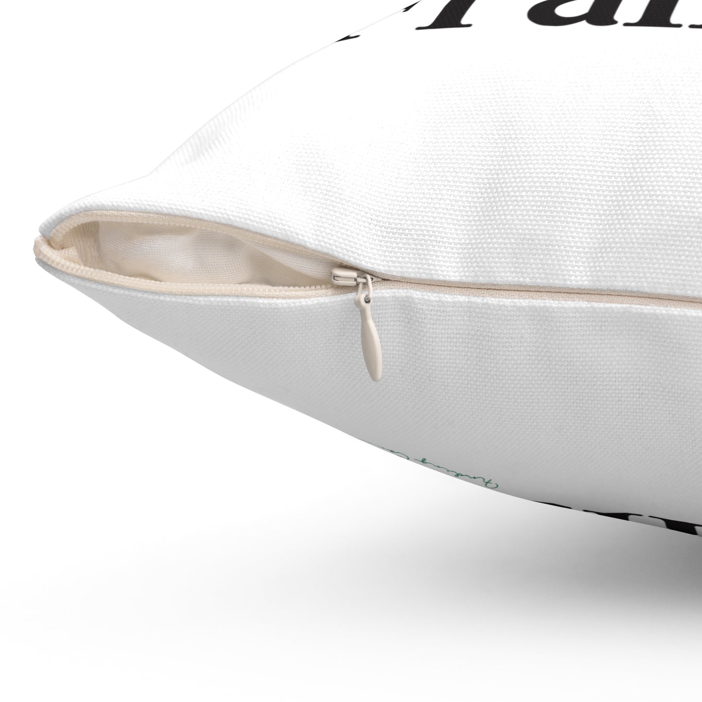 I Clover Franklin Spun Polyester Square Pillow