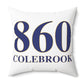 860 Colebrook Polyester Square Pillow