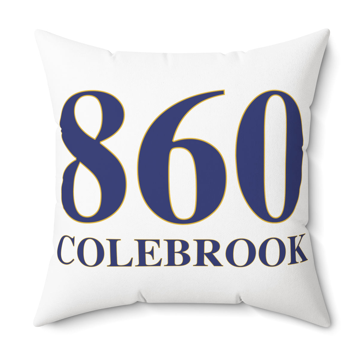 860 Colebrook Polyester Square Pillow