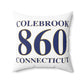 Colebrook 860 Connecticut Polyester Square Pillow