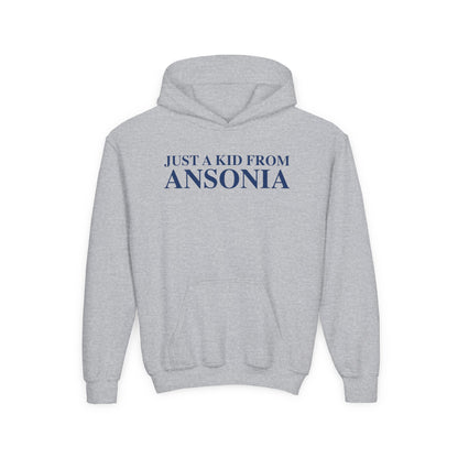 Just a kid from Ansonia Youth Heavy Blend Hooded Sweatshirt