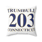 Trumbull 203 Connecticut Spun Polyester Square Pillow