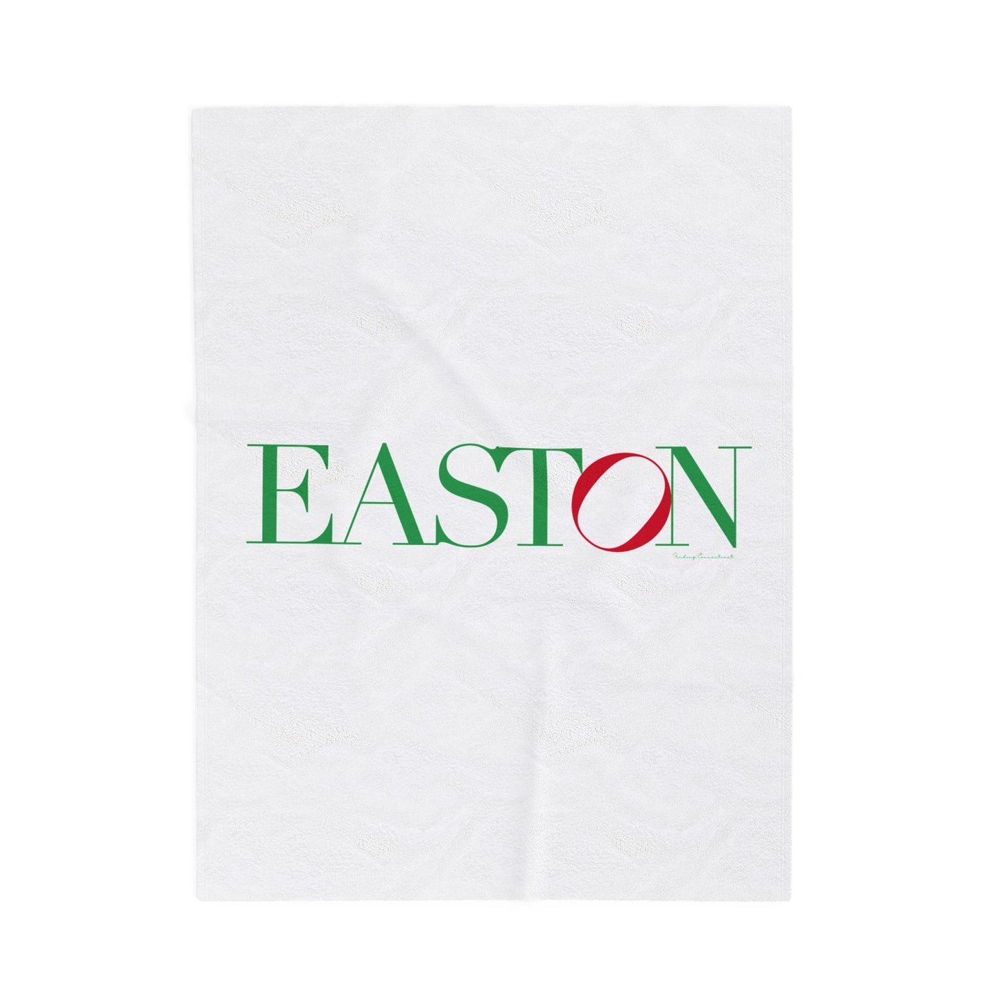41 Tilt Easton Velveteen Plush Blanket
