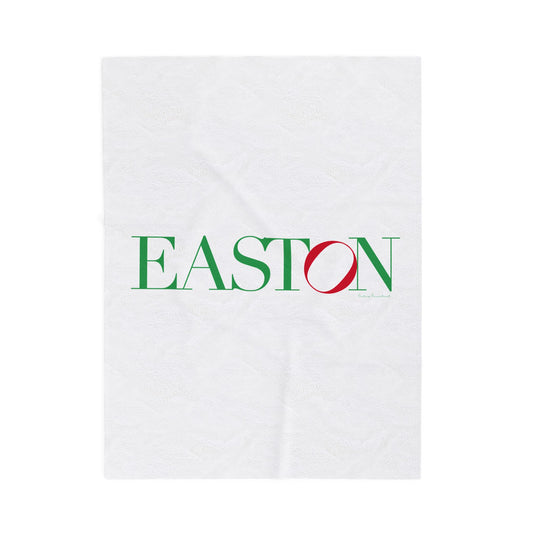 41 Tilt Easton Velveteen Plush Blanket