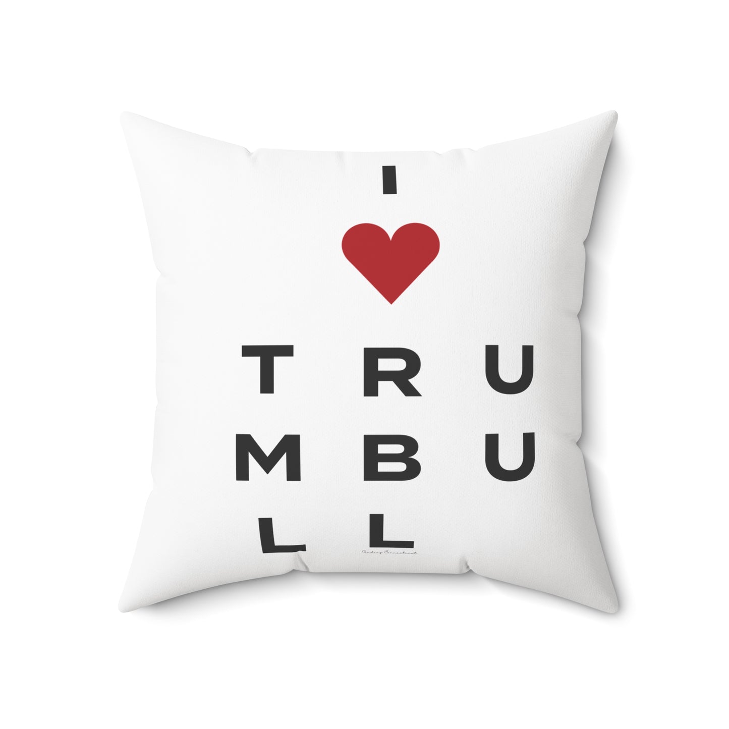 Trumbull Vision Spun Polyester Square Pillow