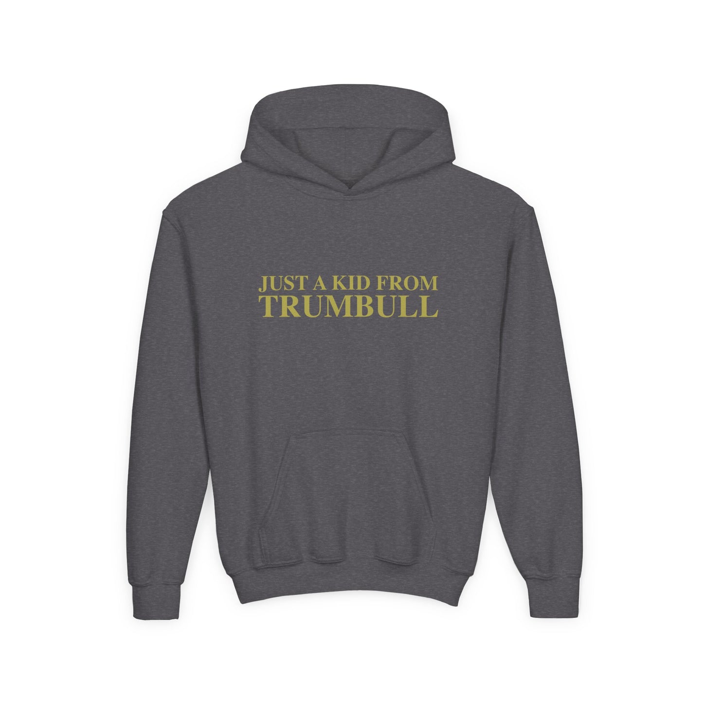 Just a kid from Trumbull  Youth Heavy Blend Hooded Sweatshirt