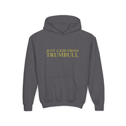Just a kid from Trumbull  Youth Heavy Blend Hooded Sweatshirt