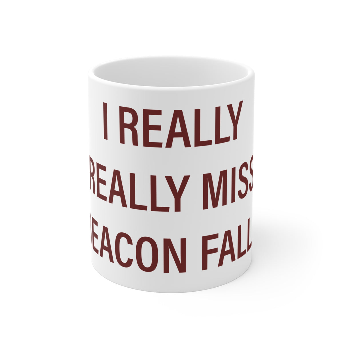 I Really Really Miss Beacon Falls Mug 11oz