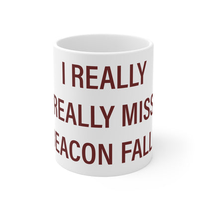 I Really Really Miss Beacon Falls Mug 11oz