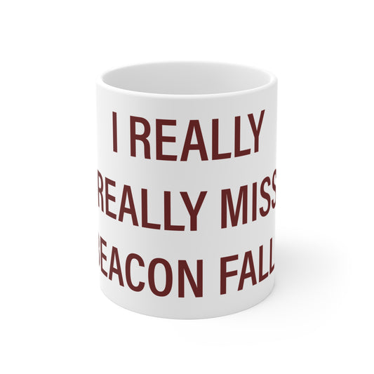 I Really Really Miss Beacon Falls Mug 11oz
