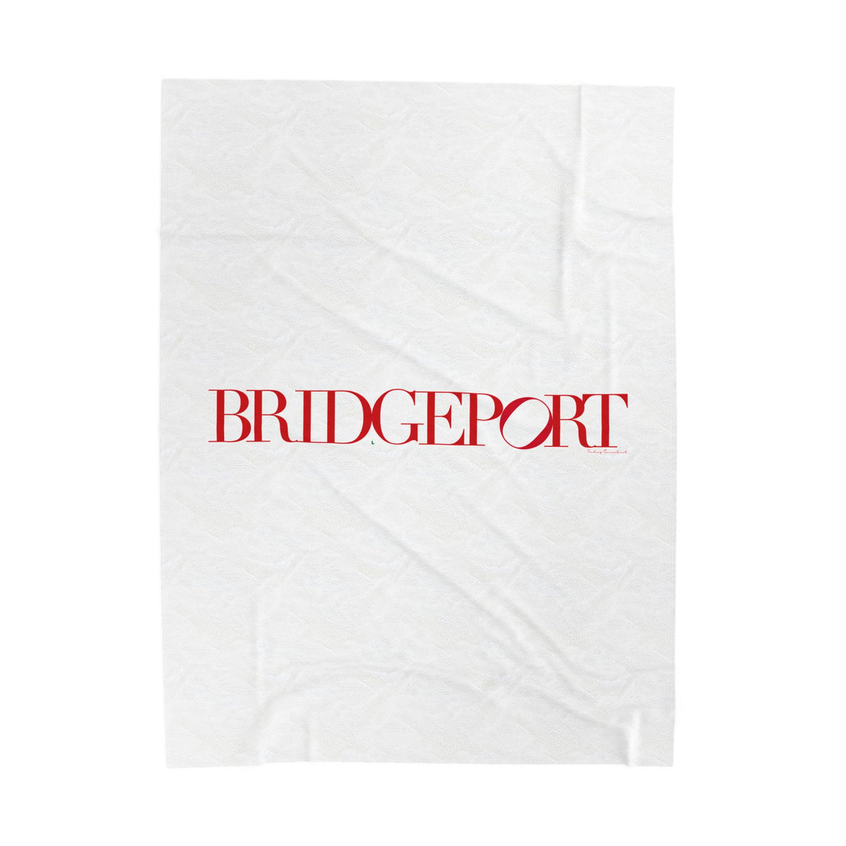 41 Tilt Bridgeport Velveteen Plush Blanket