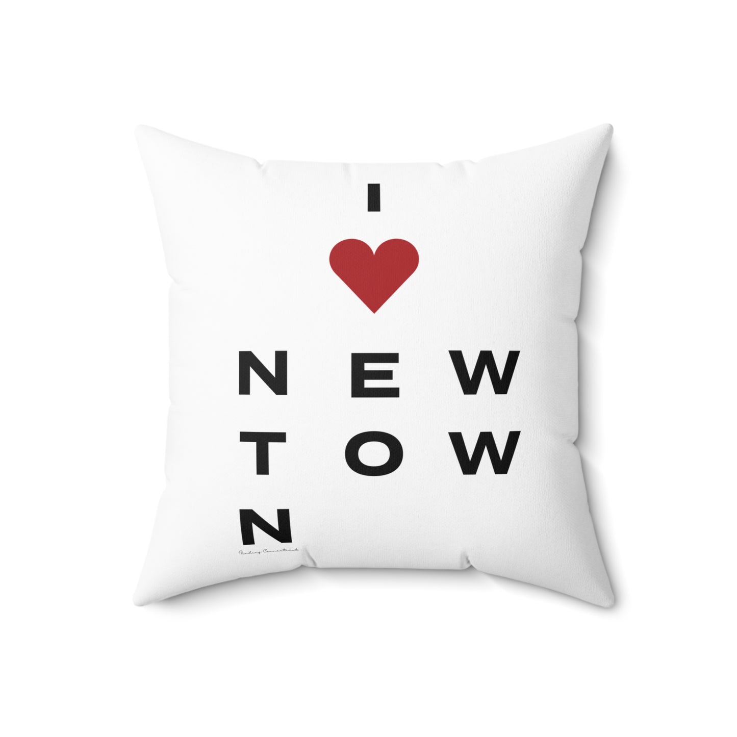 Newtown Vision Spun Polyester Square Pillow