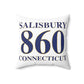 Salisbury 860 Connecticut Polyester Square Pillow