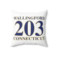 203 Wallingford Polyester Square Pillow