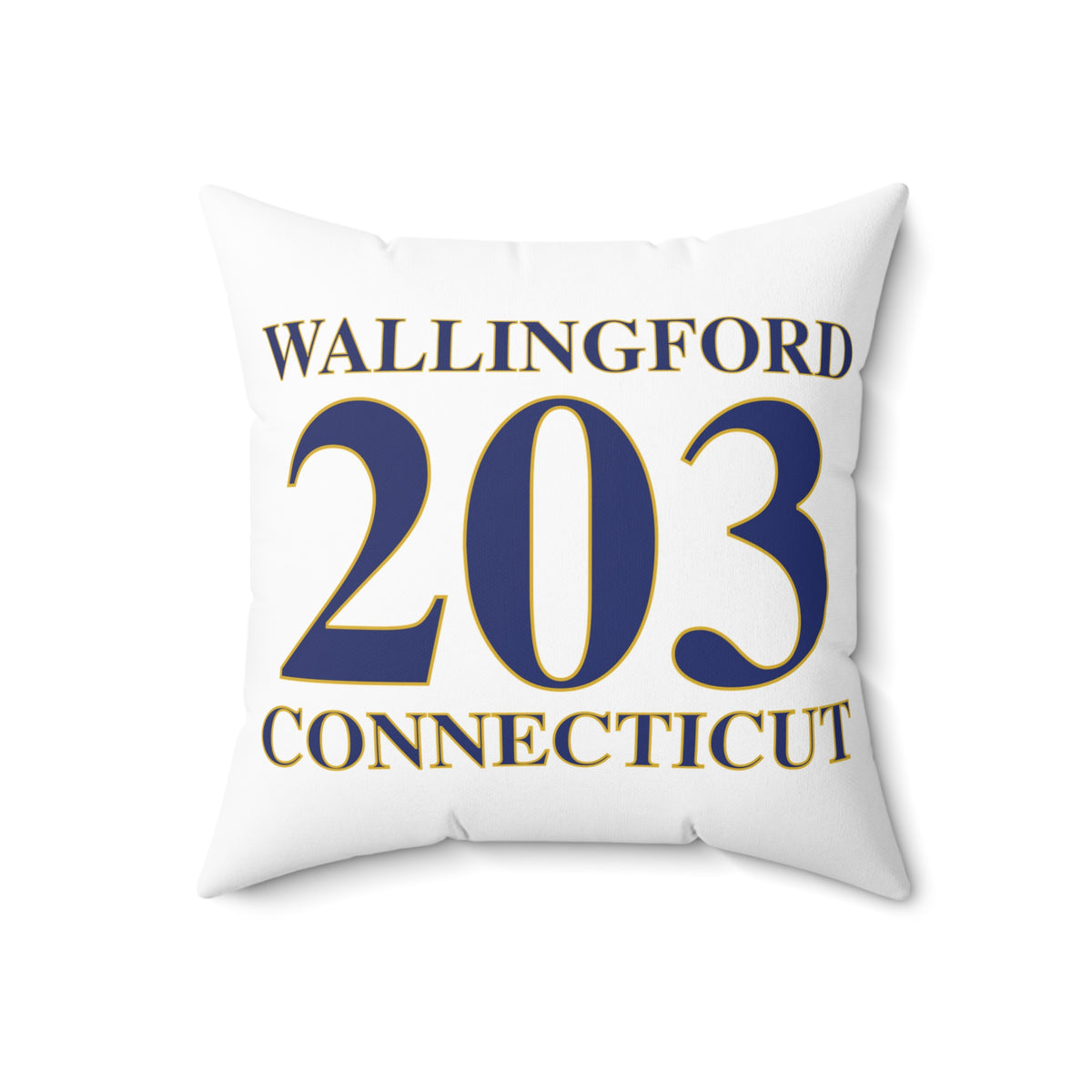 203 Wallingford Polyester Square Pillow