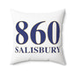860 Salisbury Polyester Square Pillow