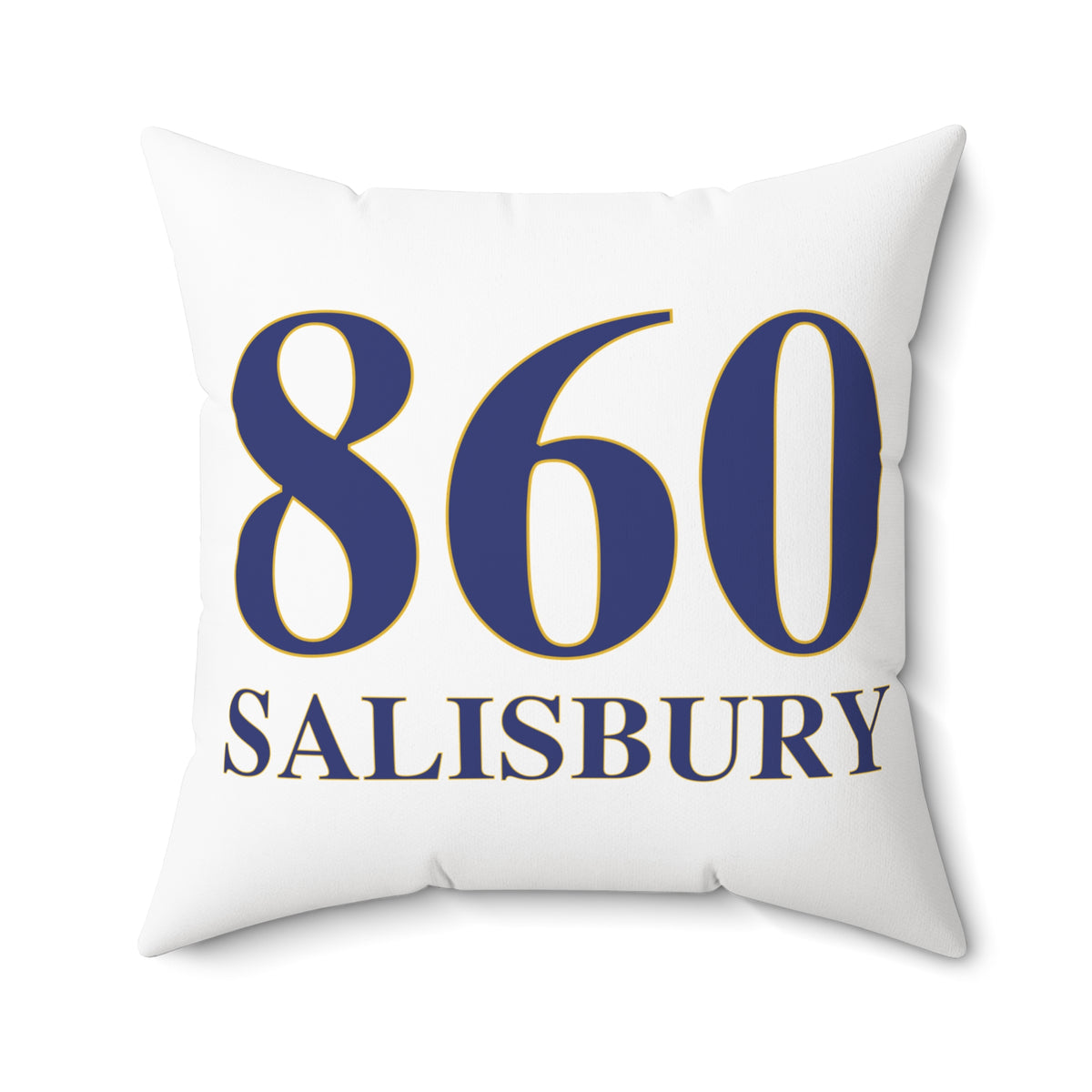 860 Salisbury Polyester Square Pillow