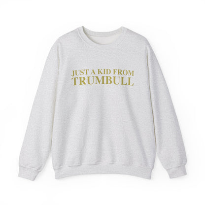 Just a kid from Trumbull Unisex Heavy Blend™ Crewneck Sweatshirt