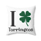 I Clover Torrington Spun Polyester Square Pillow
