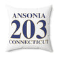 Ansonia 203 Connecticut Polyester Square Pillow