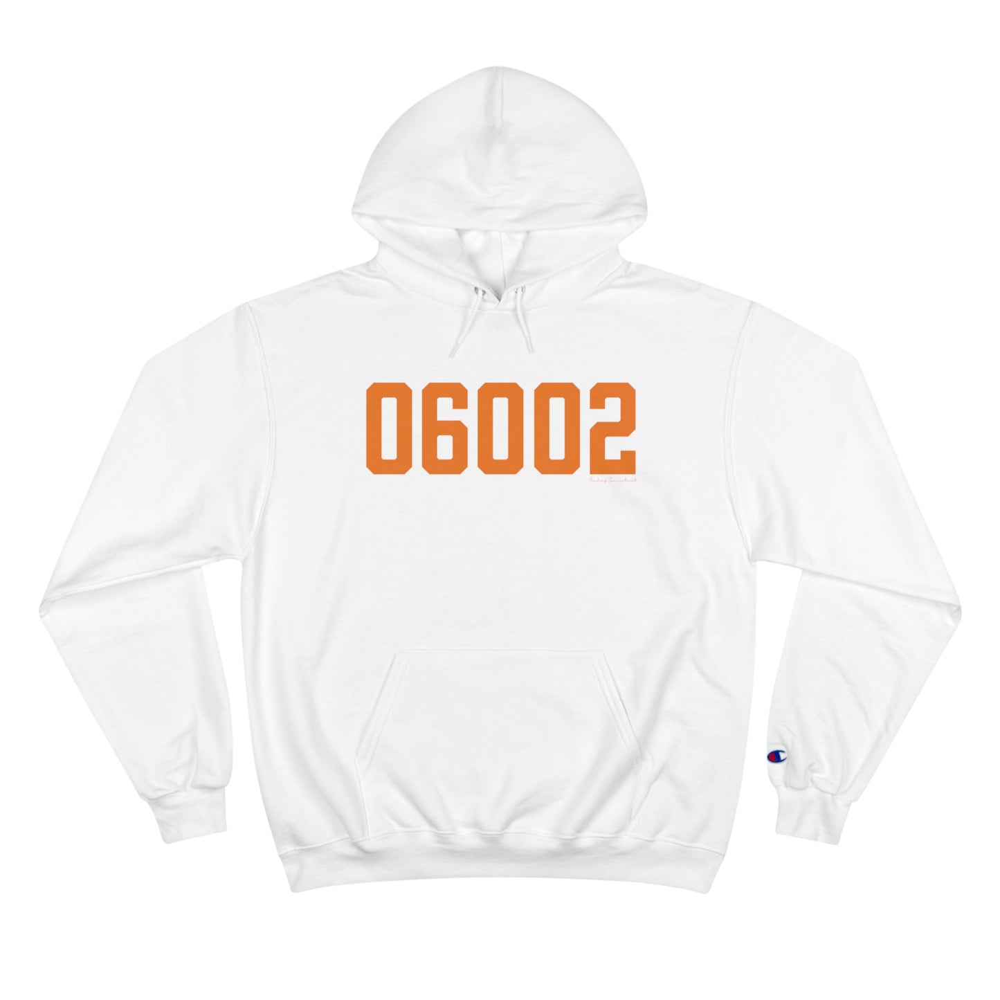 06002 - Bloomfield Connecticut Zip Code Champion Hoodie