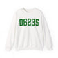 06235 Chaplin Connecticut Zip Code Unisex Heavy Blend™ Crewneck Sweatshirt