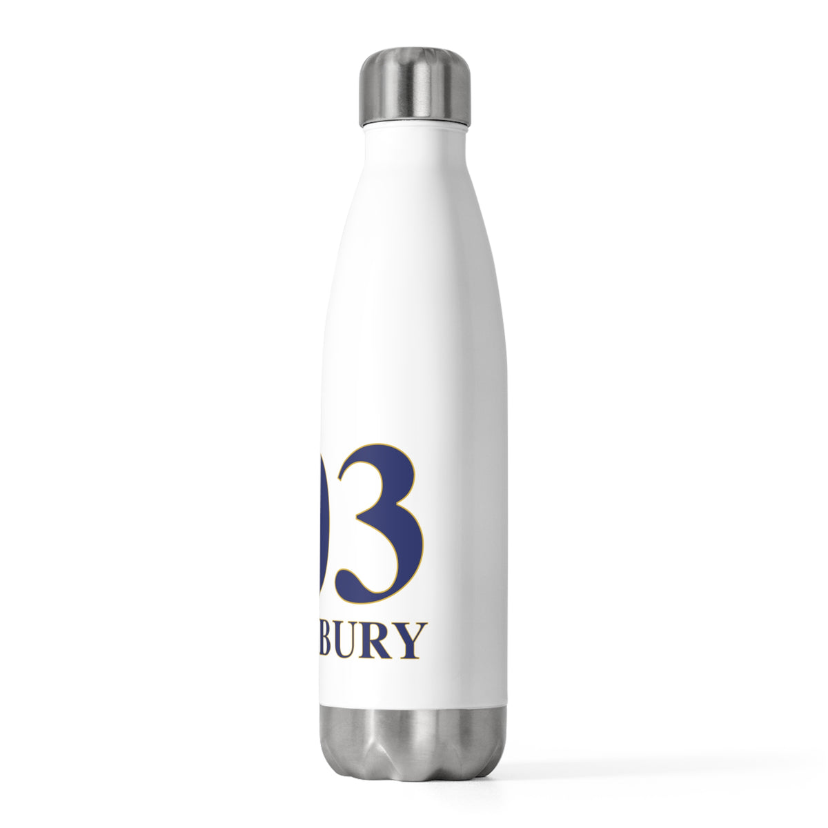 203 Southbury 20 oz Insulated Bottle
