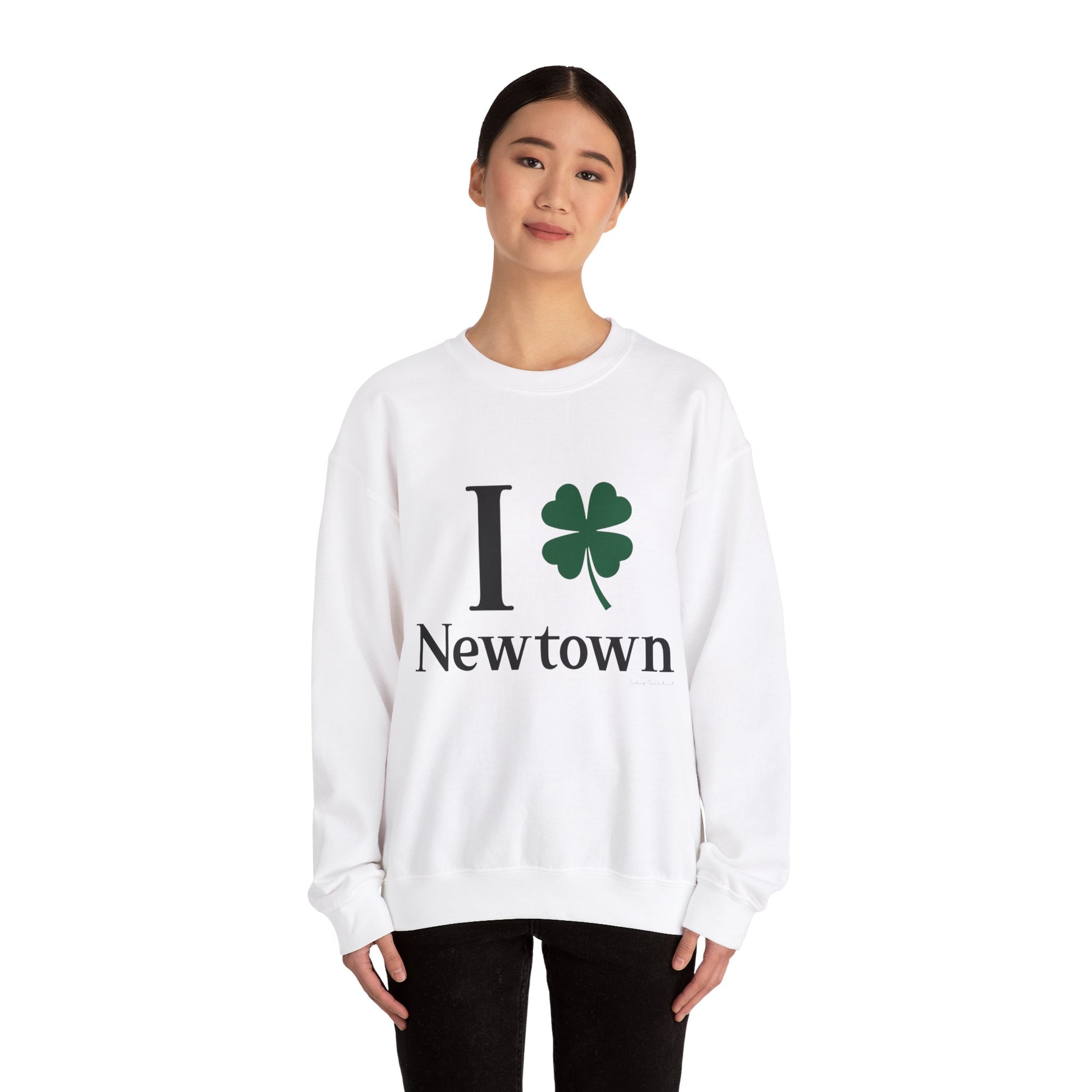 Newtown Connecticut sweatshirt