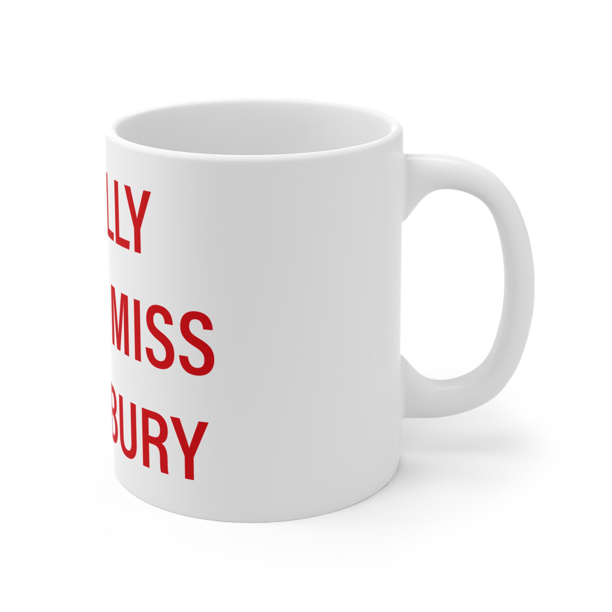 I Really Really Miss Southbury Mug 11oz