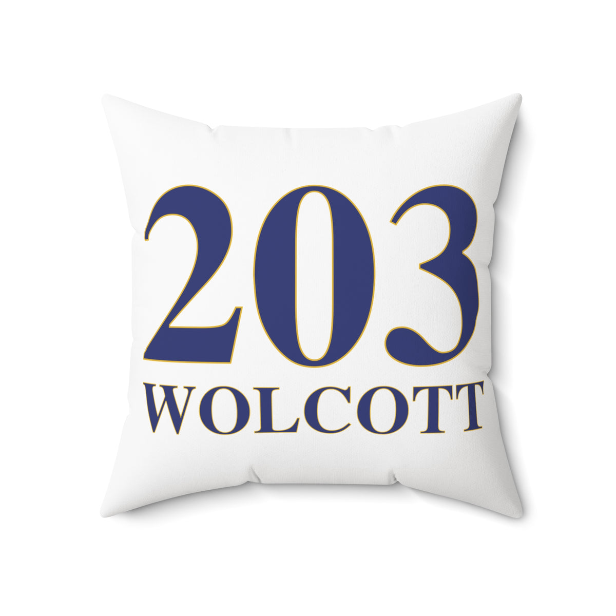 203 Wolcott Polyester Square Pillow