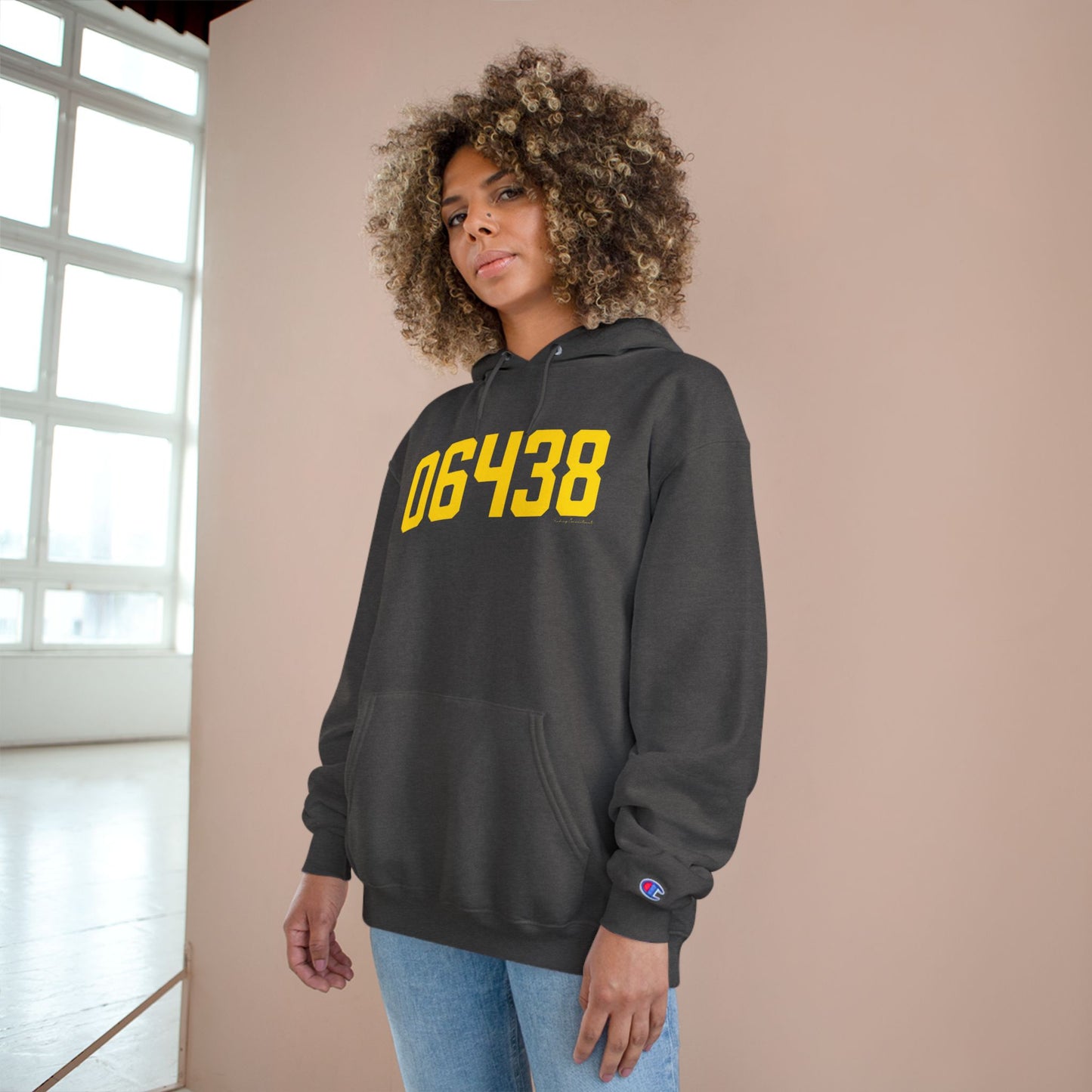 06438 Haddam Connecticut Zip Code Champion Hoodie