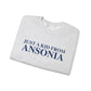Just a kid from Ansonia Unisex Heavy Blend™ Crewneck Sweatshirt