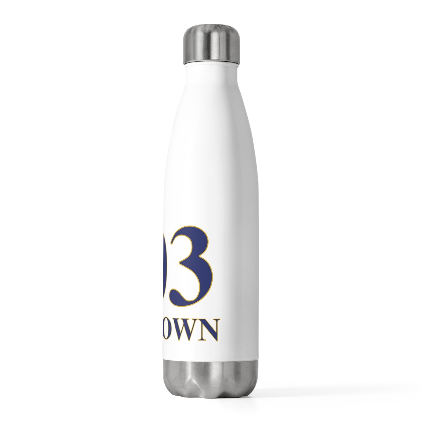 203 Newtown 20oz Insulated Bottle