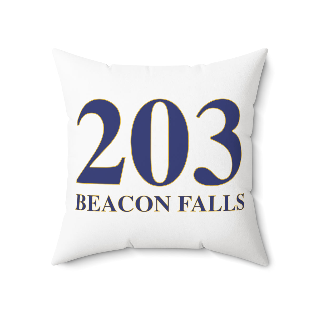 203 Beacon Falls Polyester Square Pillow