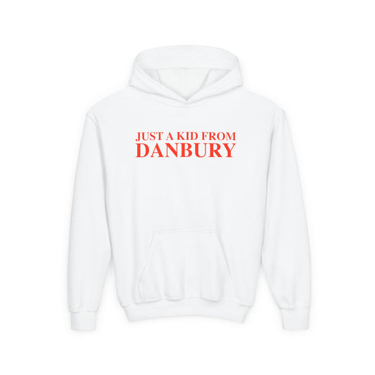 Just a kid from Danbury Youth Heavy Blend Hooded Sweatshirt