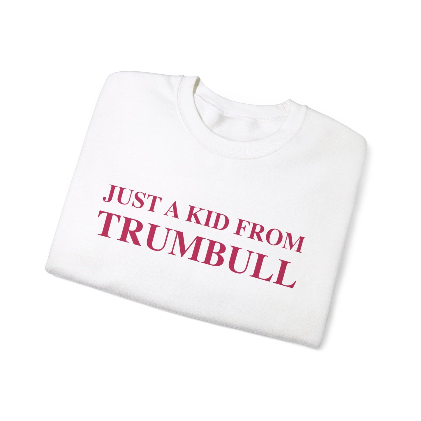 Just a kid from Trumbull Unisex Heavy Blend™ Crewneck Sweatshirt