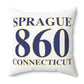 Sprague 860 Connecticut Polyester Square Pillow