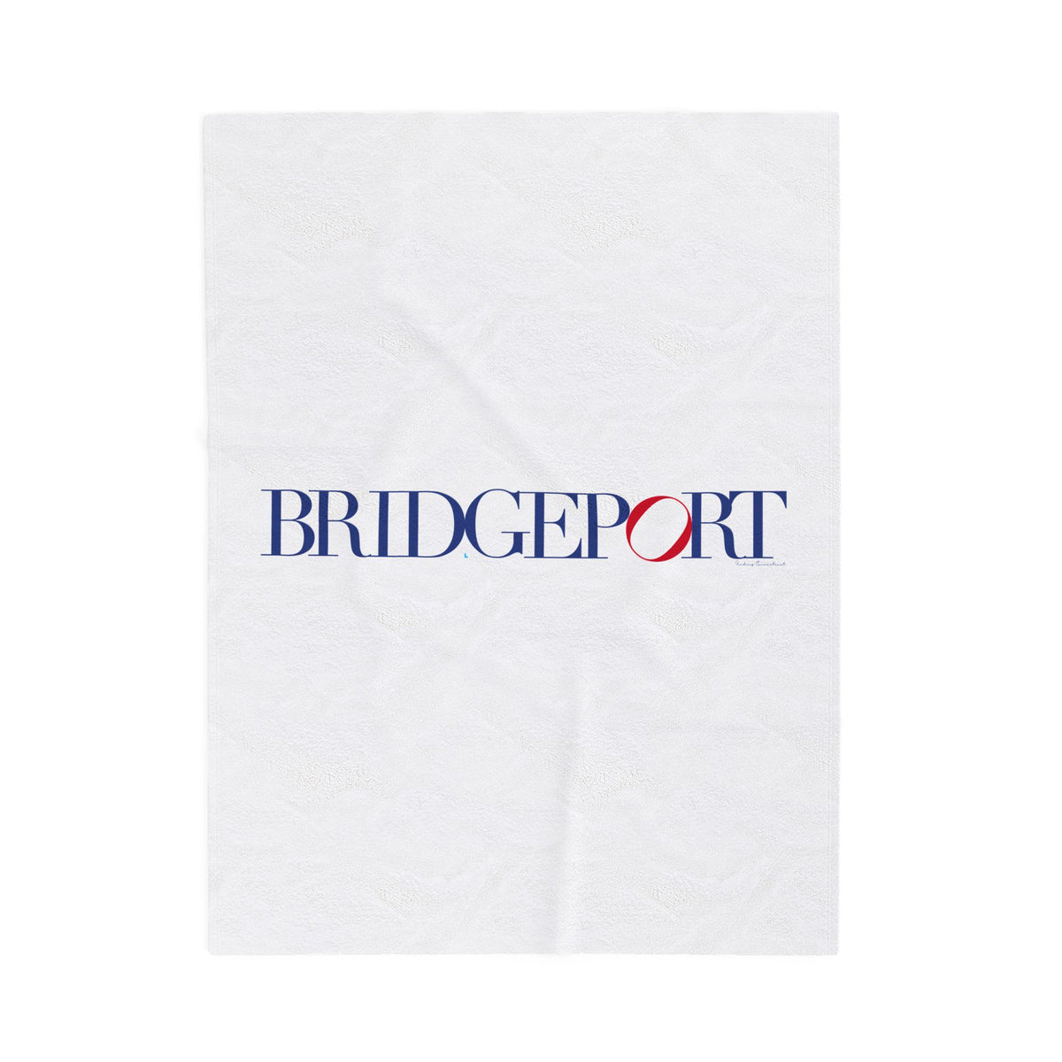 41 Tilt Bridgeport Velveteen Plush Blanket