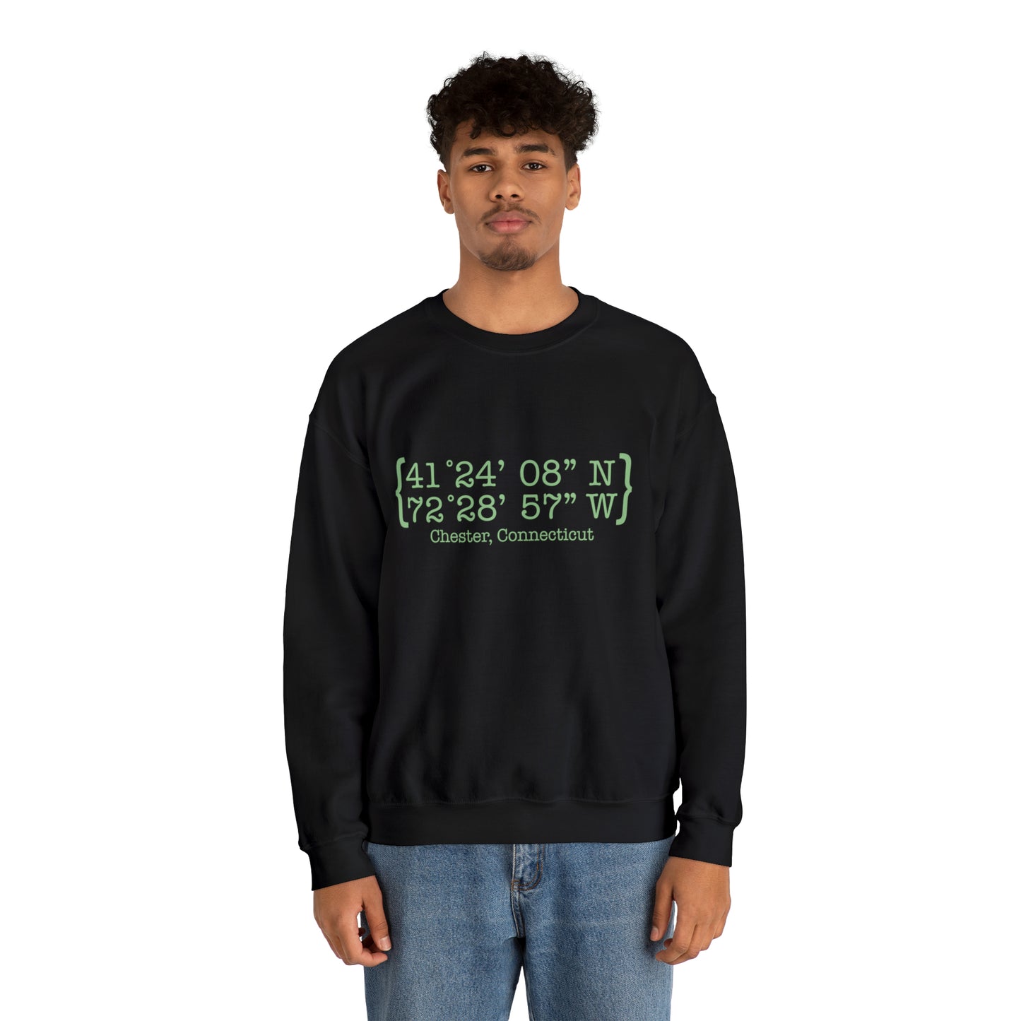 Chester Coordinates Unisex Heavy Blend™ Crewneck Sweatshirt (green)