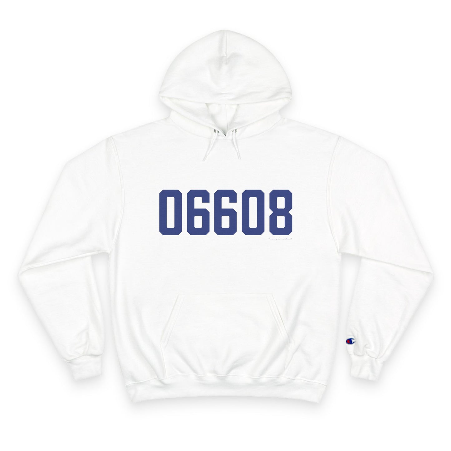 06608 Bridgeport Connecticut Zip Code Champion Hoodie Sweatshirt