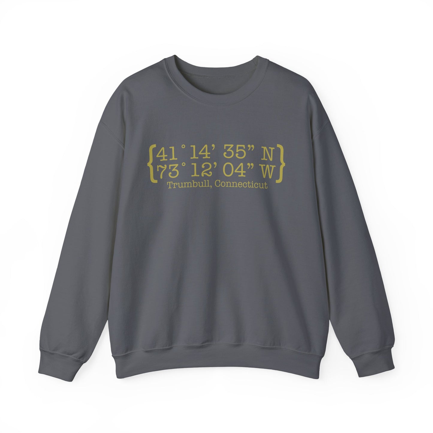 Trumbull Coordinates Unisex Heavy Blend™ Crewneck Sweatshirt