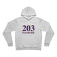 203 Danbury Red, White & Blue Unisex Sponge Fleece Pullover Hoodie