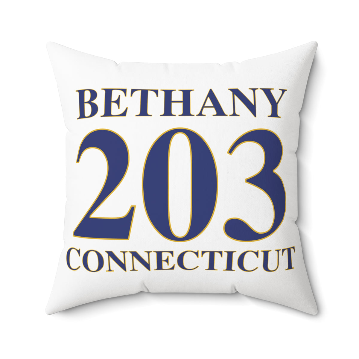 Bethany 203 Connecticut Polyester Square Pillow