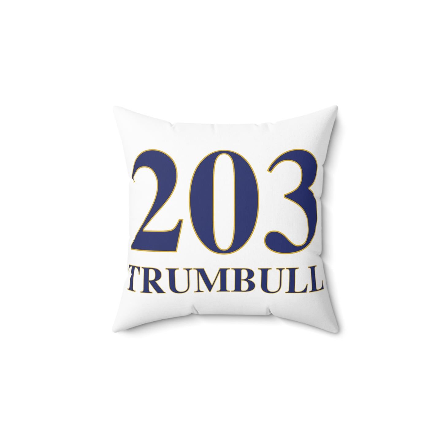 203 Trumbull Spun Polyester Square Pillow