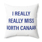 I Really Really Miss North Canaan Polyester Square Pillow