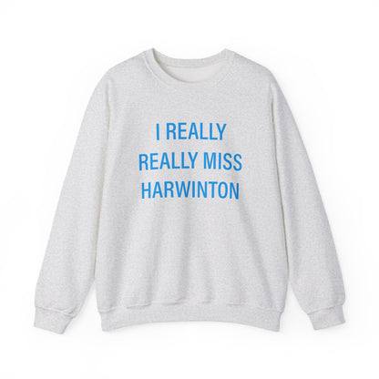 I Really Really Miss Harwinton Heavy Blend™ Crewneck Sweatshirt