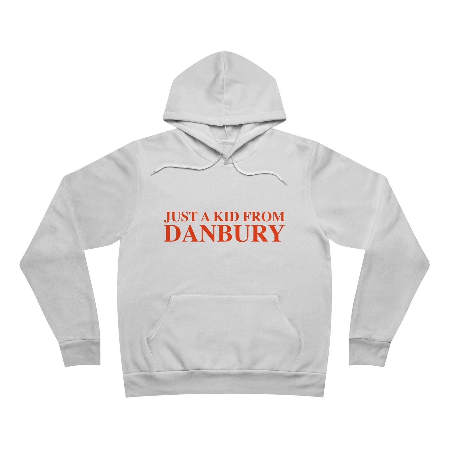 Just a kid from Danbury Unisex Sponge Fleece Pullover Hoodie