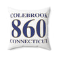 Colebrook 860 Connecticut Polyester Square Pillow