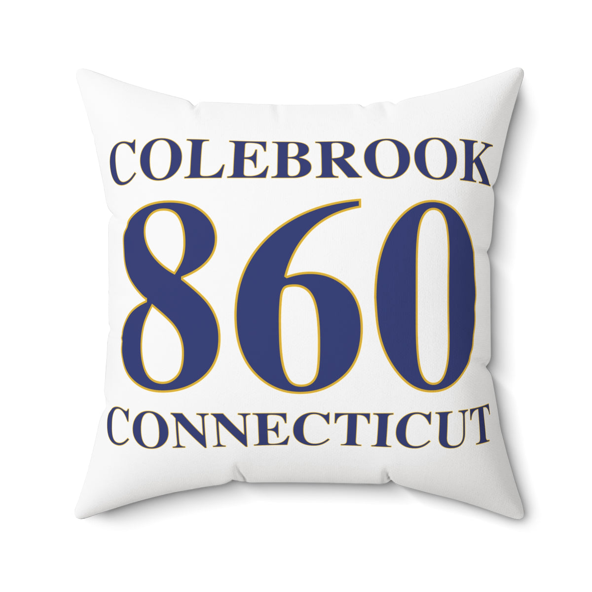 Colebrook 860 Connecticut Polyester Square Pillow